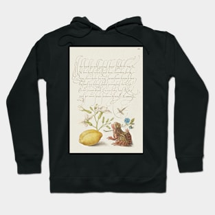 Antique 16th Century Calligraphy with Frog and Flora Hoodie